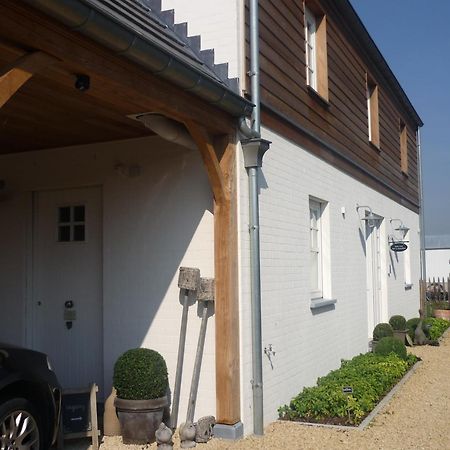 Casa-Cosi, Tourist & Business Suites & Flats With Reserved Parking And Private Terraces In Shared Garden With Seasonal Pool Included, Private Sauna Available Lokeren Luaran gambar