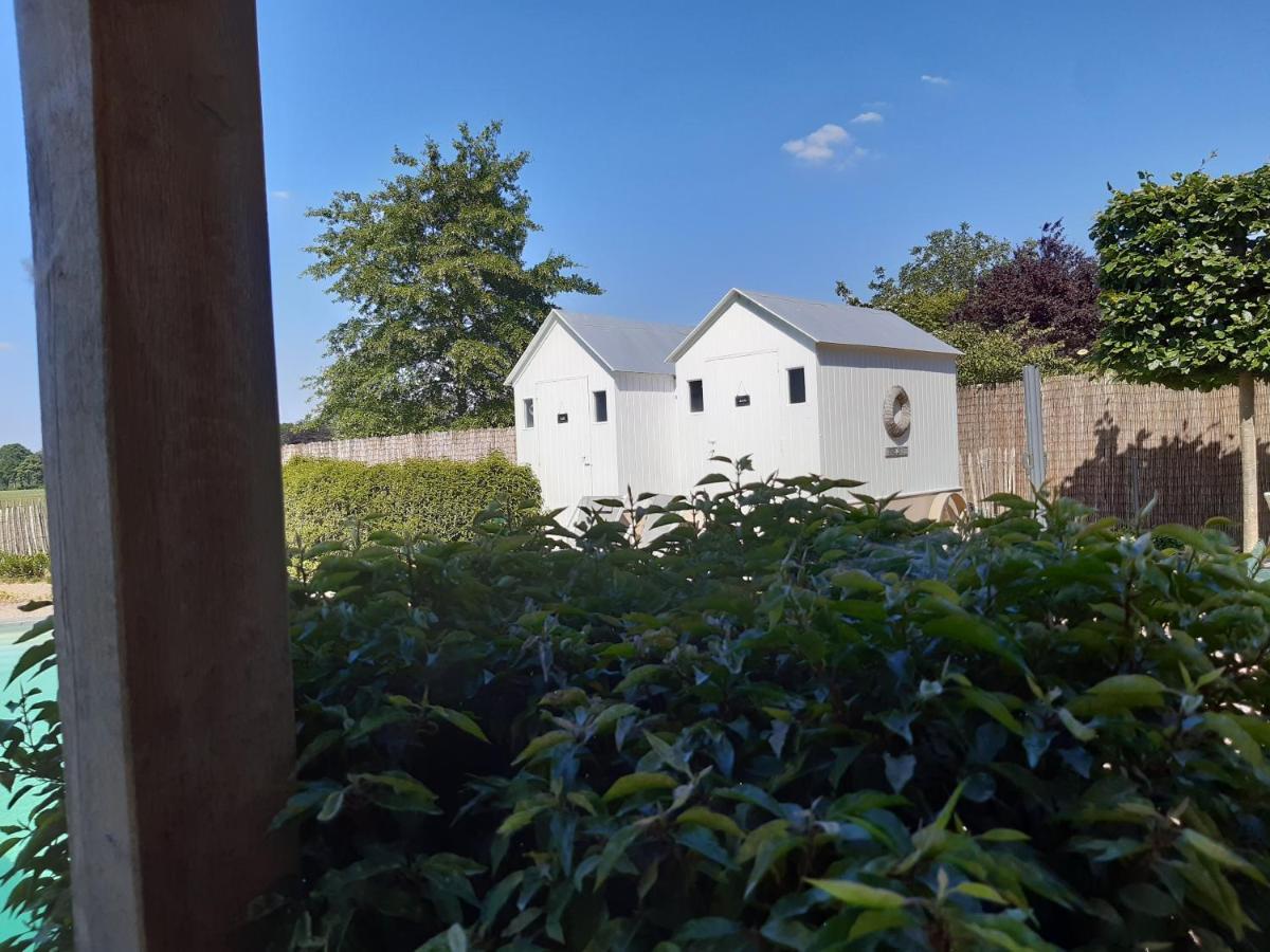Casa-Cosi, Tourist & Business Suites & Flats With Reserved Parking And Private Terraces In Shared Garden With Seasonal Pool Included, Private Sauna Available Lokeren Luaran gambar