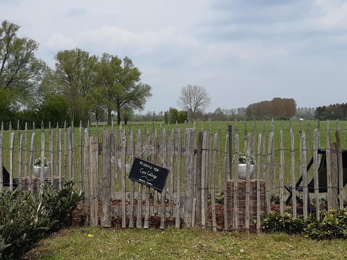 Casa-Cosi, Tourist & Business Suites & Flats With Reserved Parking And Private Terraces In Shared Garden With Seasonal Pool Included, Private Sauna Available Lokeren Luaran gambar