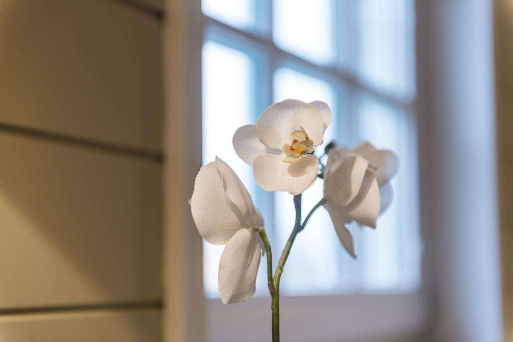 Casa-Cosi, Tourist & Business Suites & Flats With Reserved Parking And Private Terraces In Shared Garden With Seasonal Pool Included, Private Sauna Available Lokeren Luaran gambar